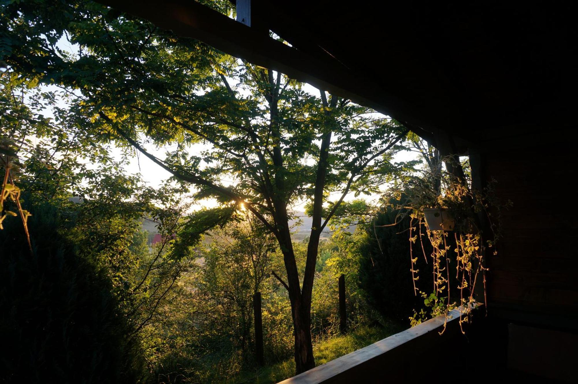 Natura Chalets プライド エクステリア 写真